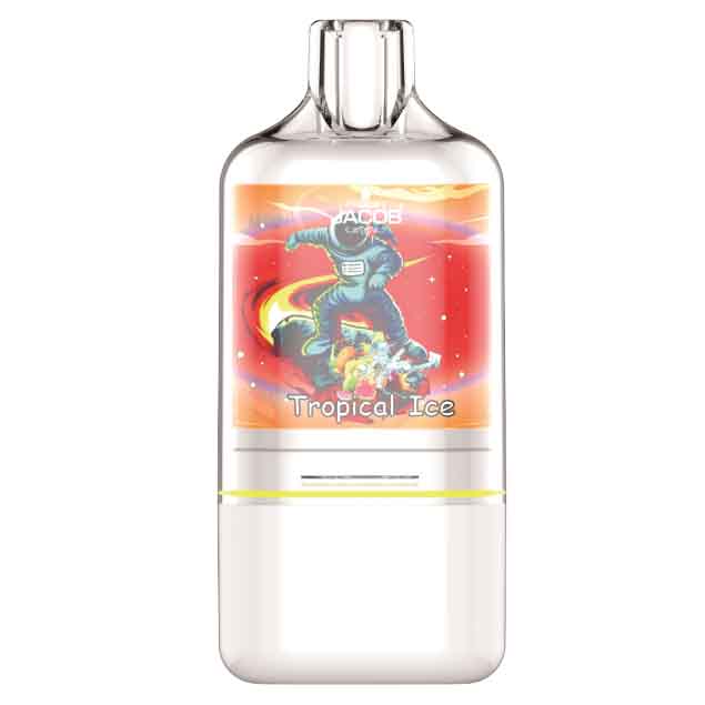 3000 Puffs Box Electronic Cigarettes Vape Pod