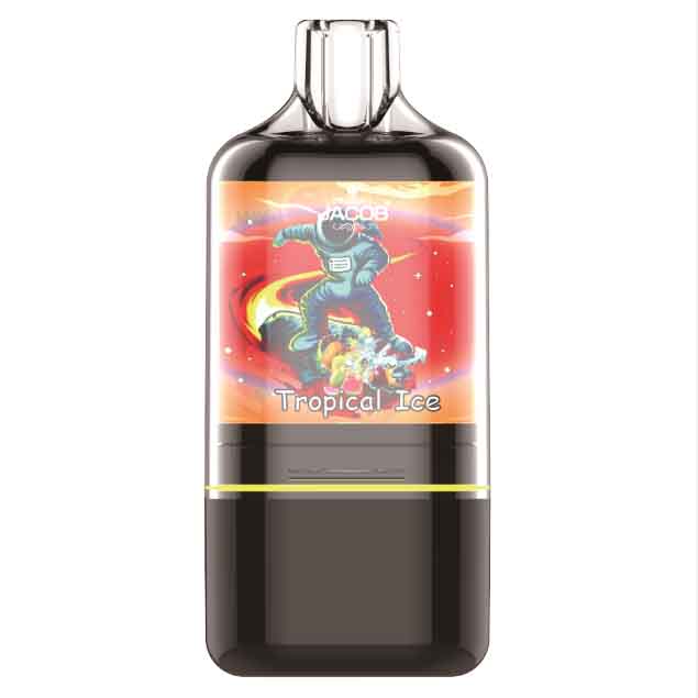 3000 Puffs Box Electronic Cigarettes Vape Pod