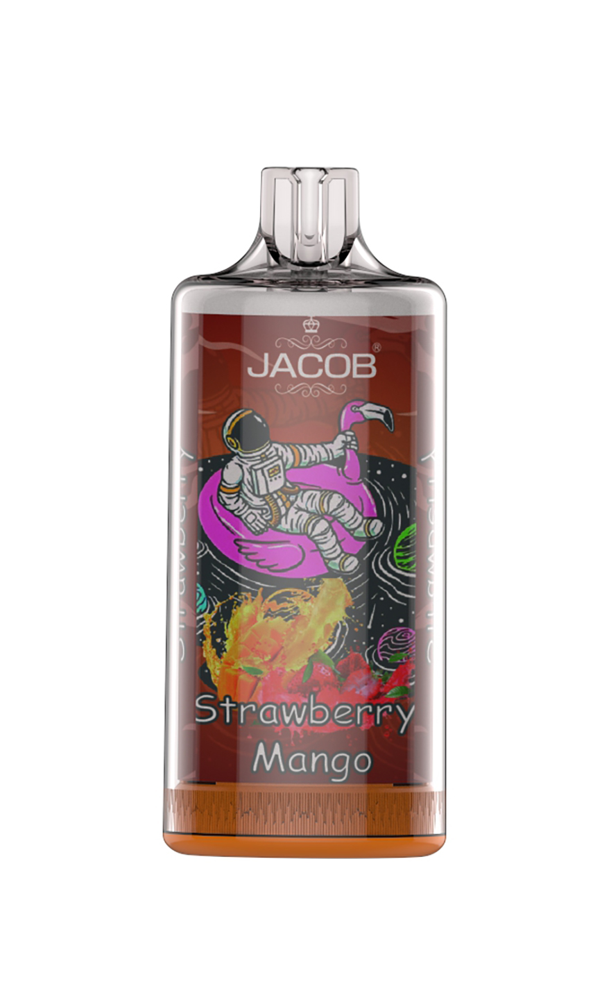 8000 puffs Rechargeable Disposable Electronic Cigarette