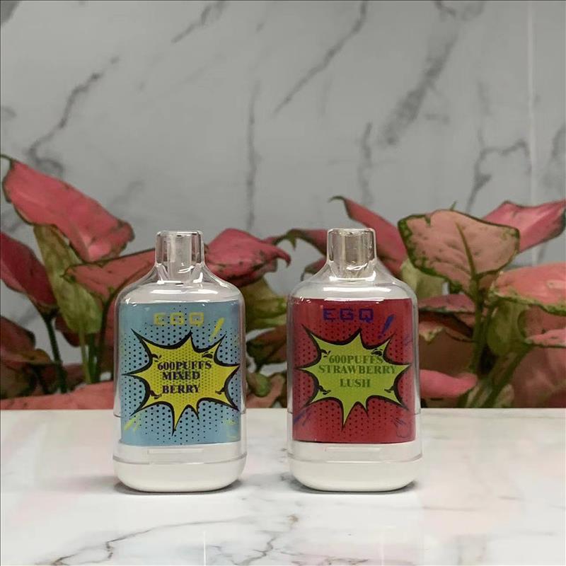 The Latest Mini Disposable 600 Puffs E-Cigarette