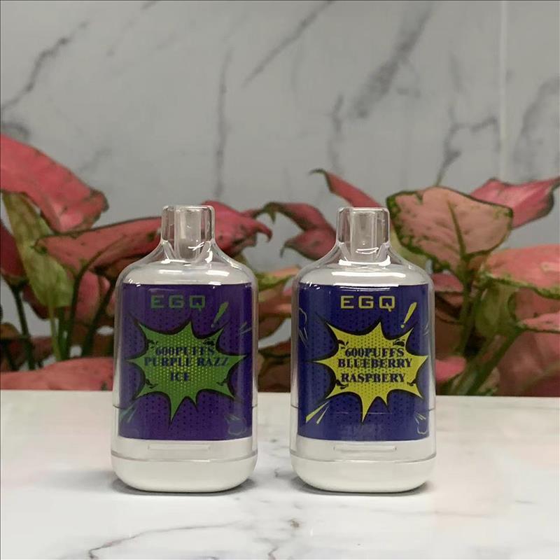 The Latest Mini Disposable 600 Puffs E-Cigarette