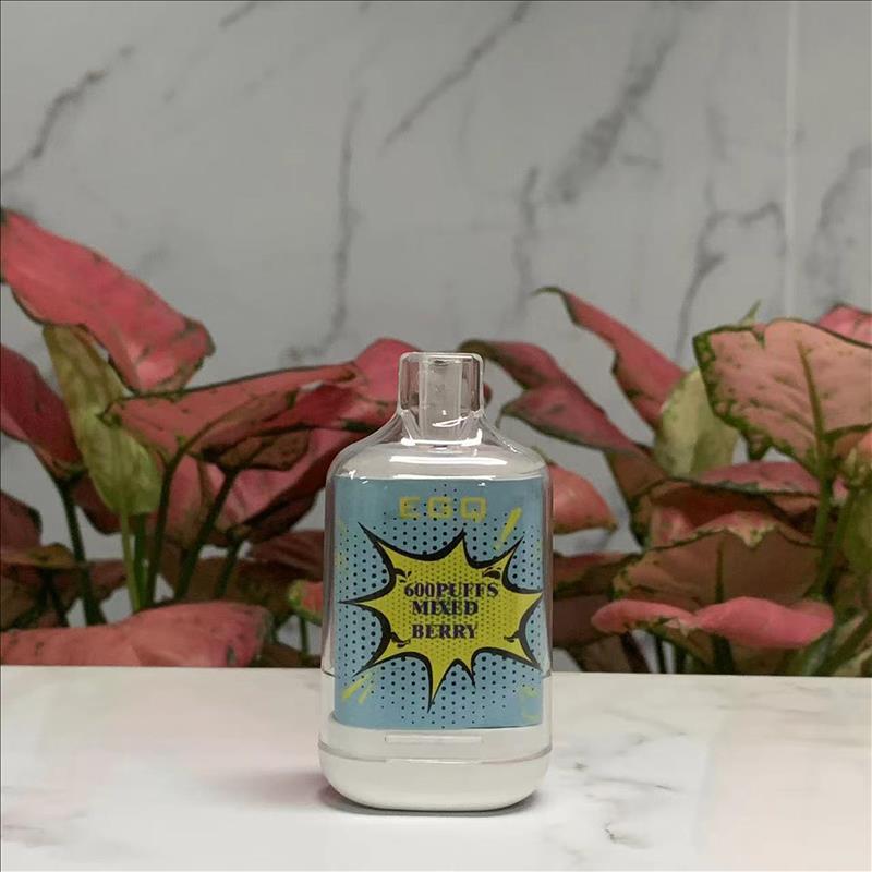 The Latest Mini Disposable 600 Puffs E-Cigarette