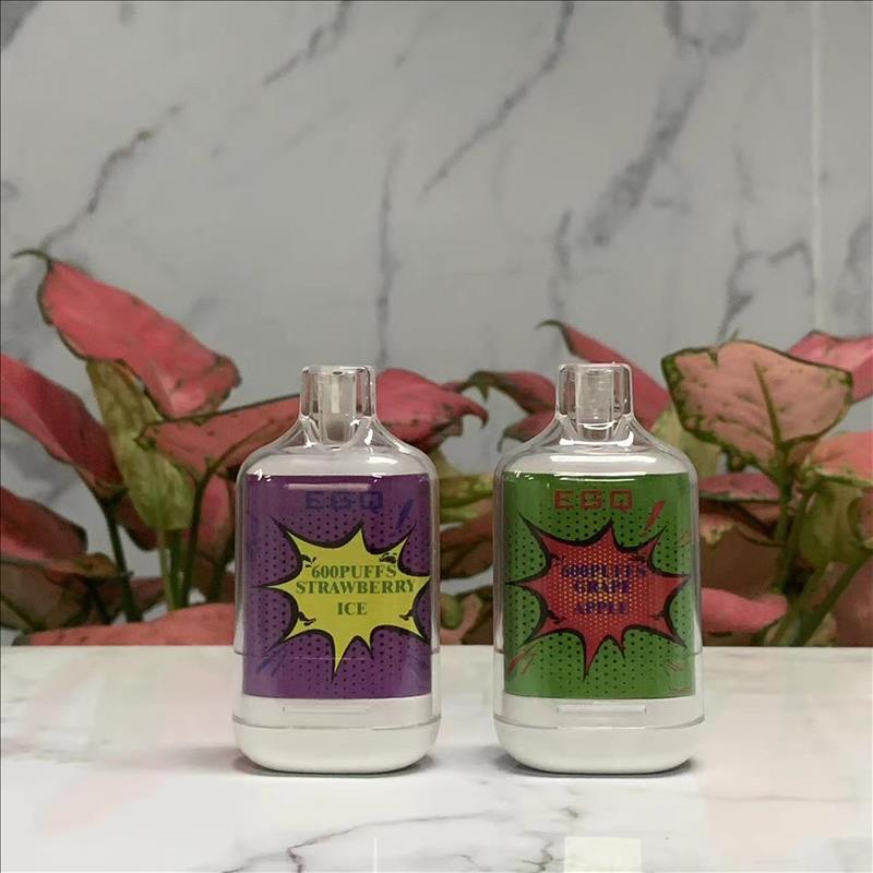 The Latest Mini Disposable 600 Puffs E-Cigarette