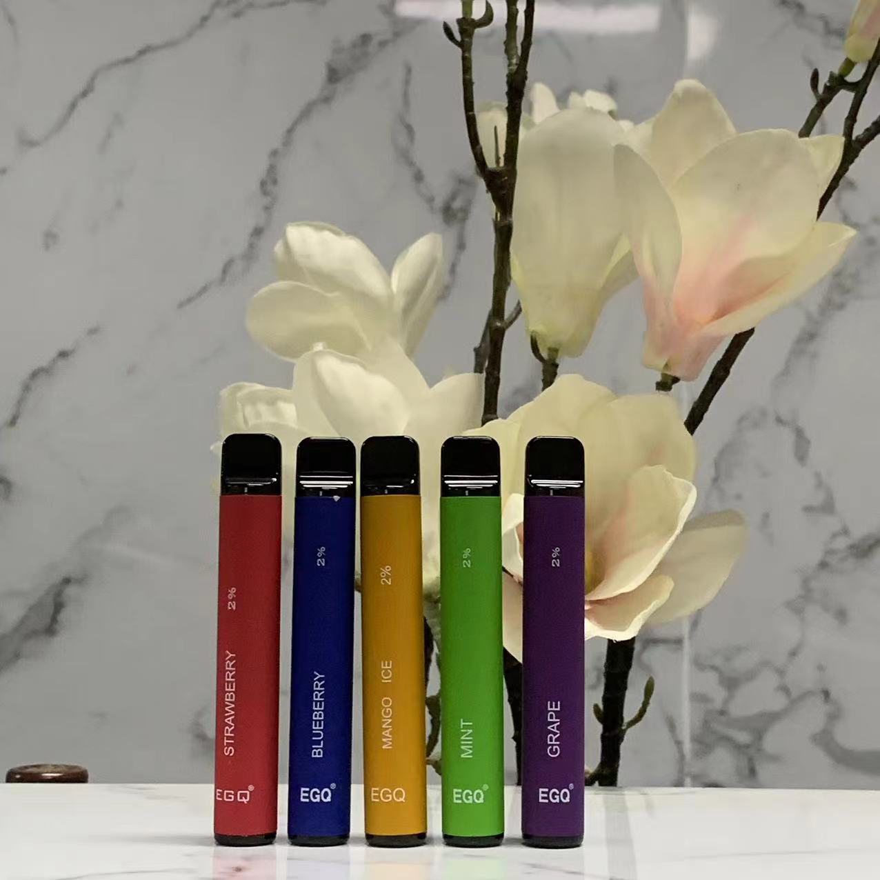 Disposable E Cigarette