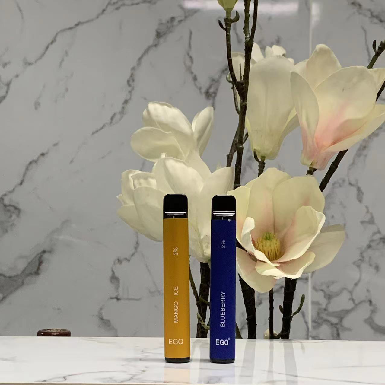 Disposable E Cigarette