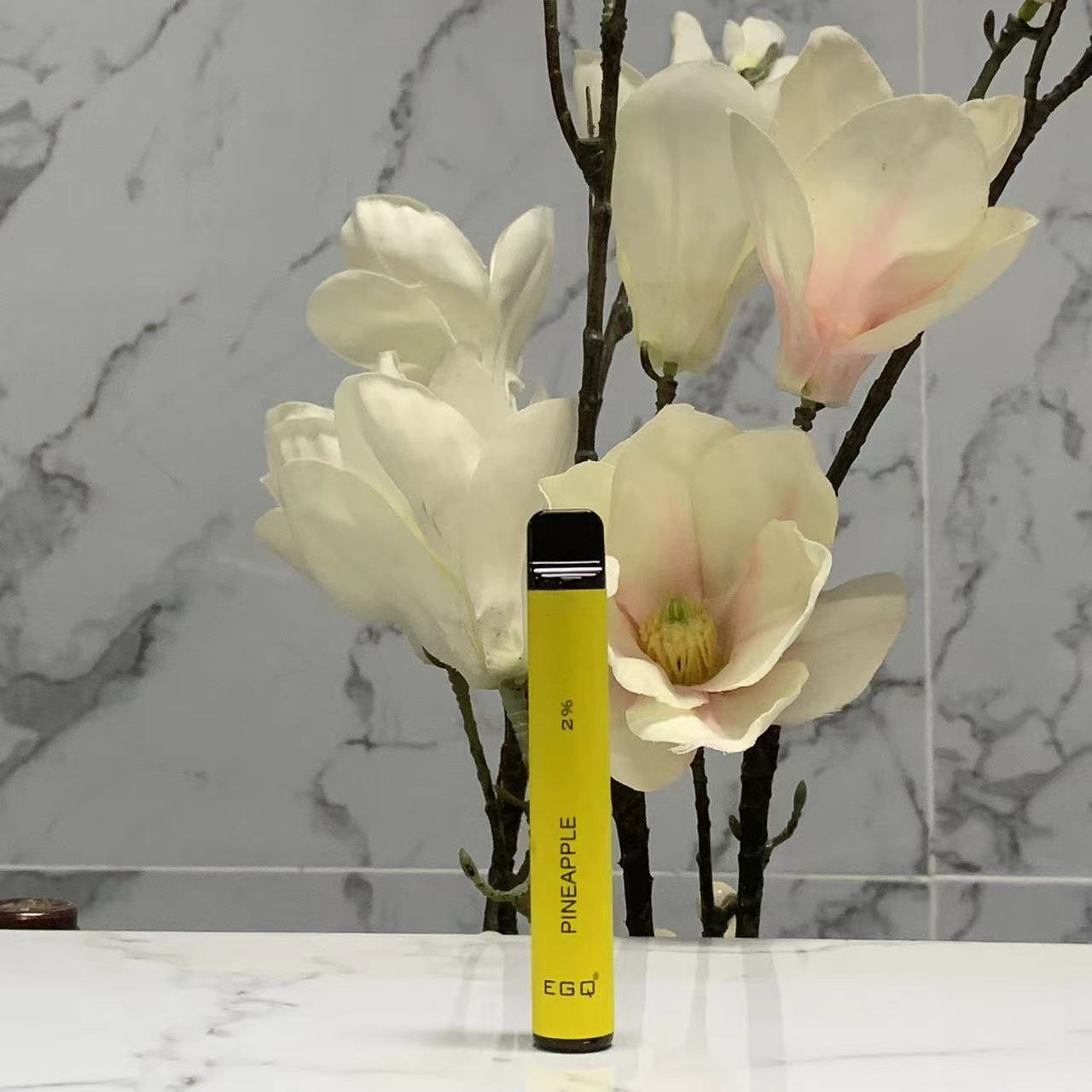 Disposable E Cigarette