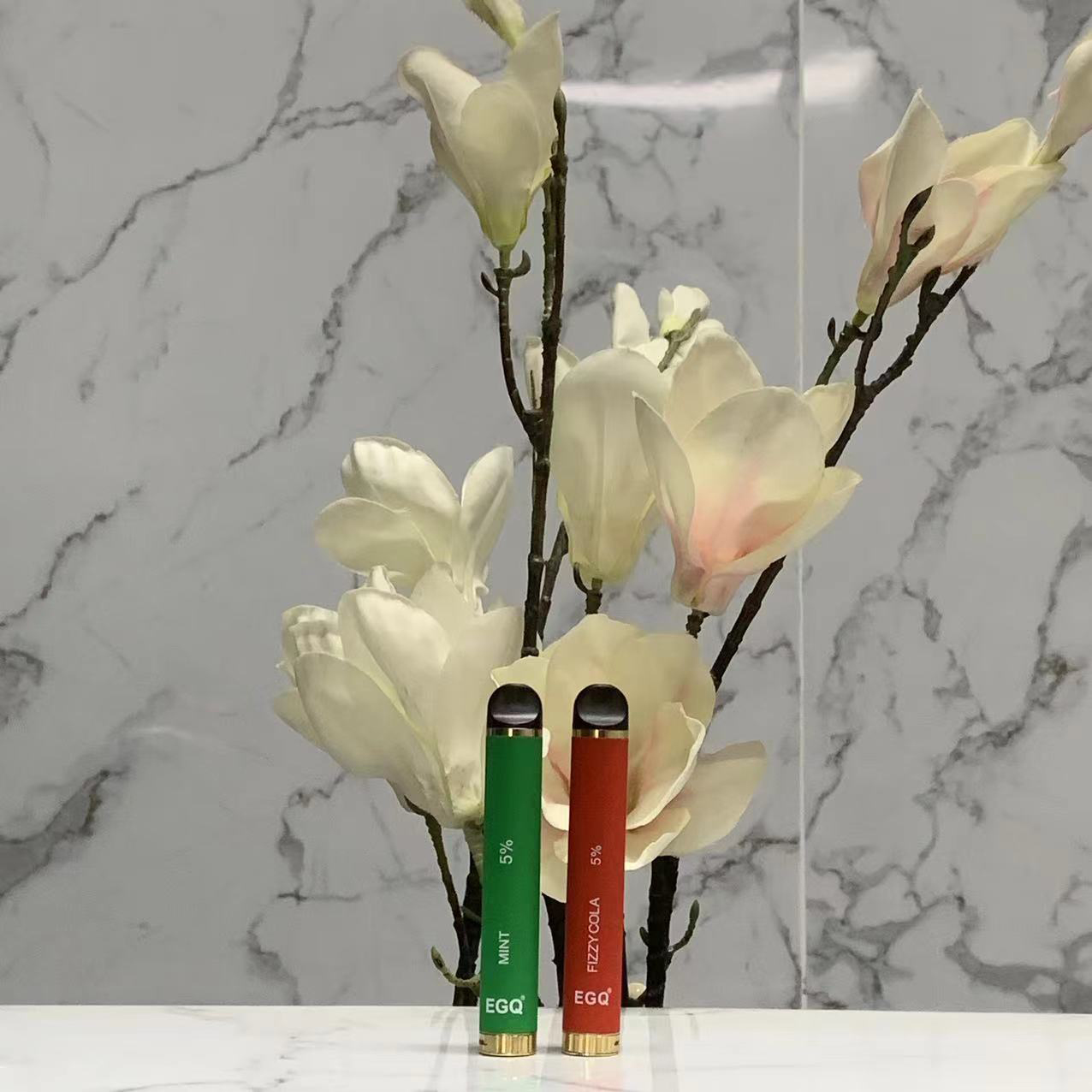 800puffs EGQ Brand Electronic Cigarette