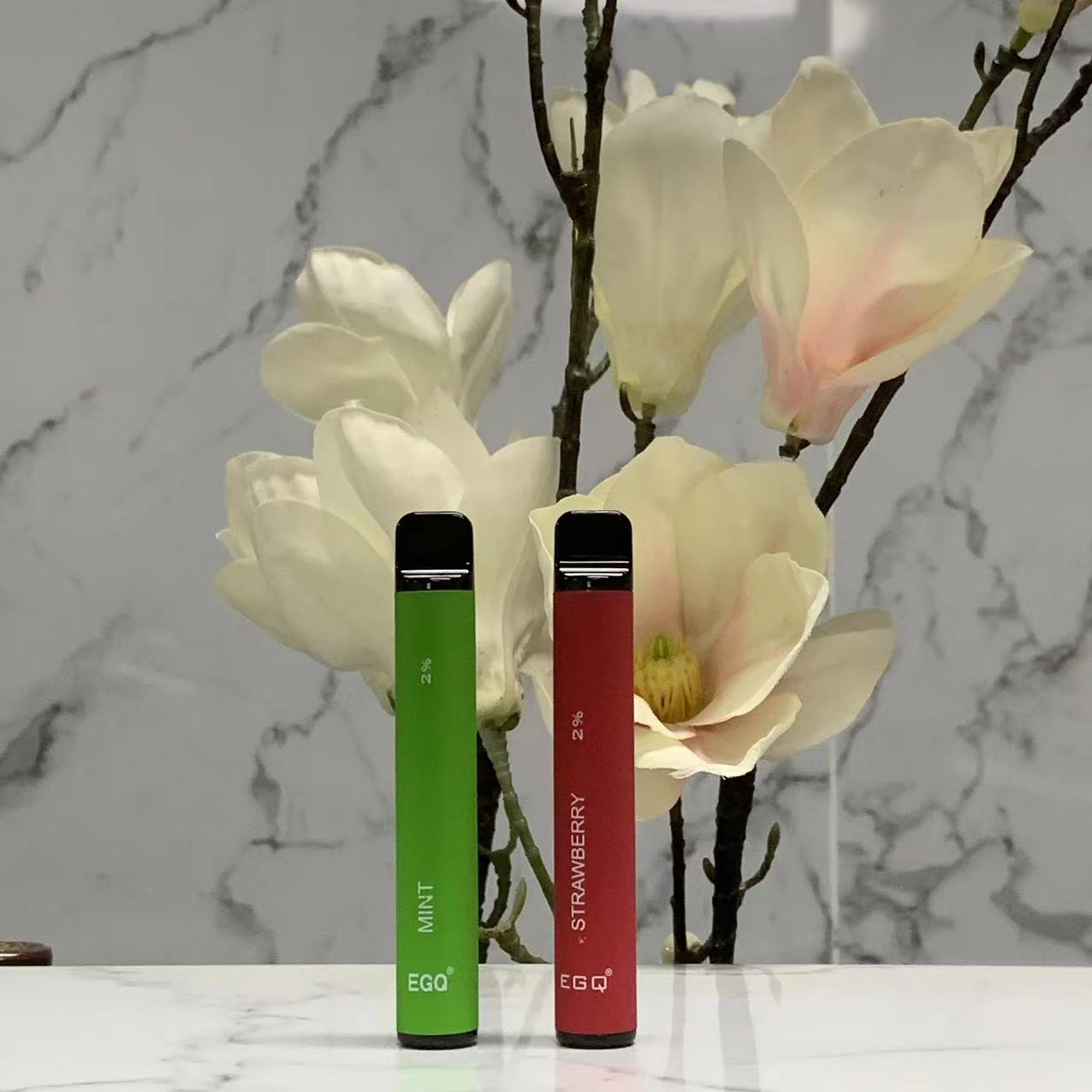 Disposable E Cigarette