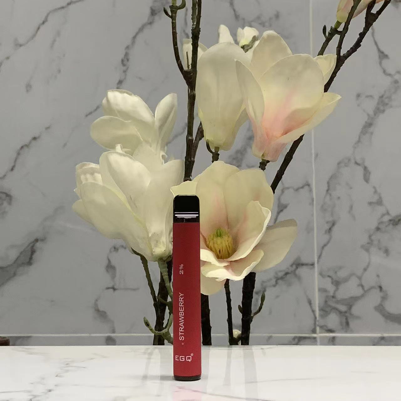 Disposable E Cigarette