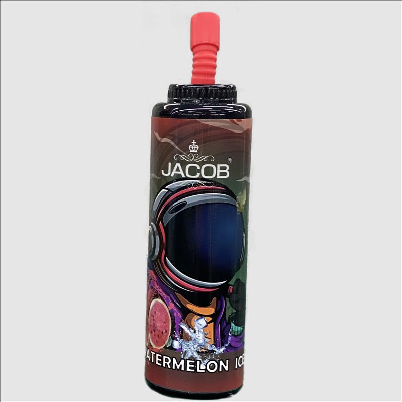 Rechargeable Disposable Electronic Cigarette