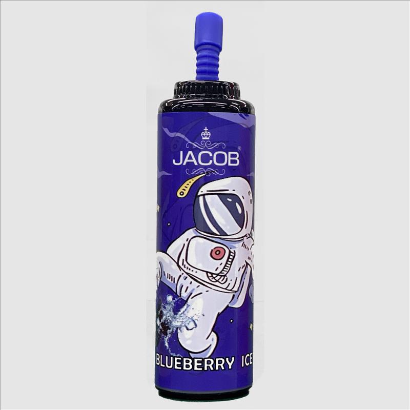 Rechargeable Disposable Electronic Cigarette